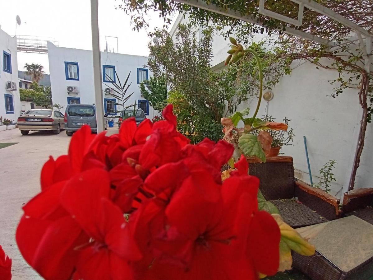 Pay Otel Bodrum Eksteriør billede